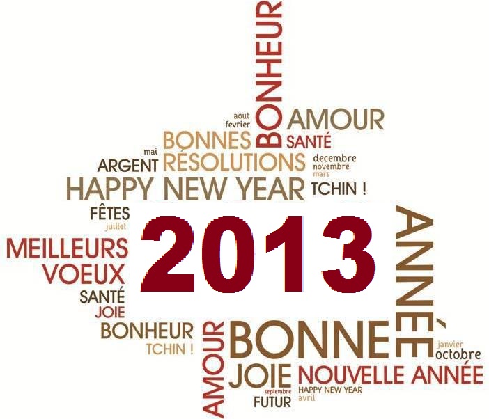 bonne année 2013